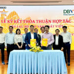 Tập đoàn Bảo hiểm DBV và Câu lạc bộ Sao Vàng Đất Việt chính thức ký kết thỏa thuận hợp tác chiến lược (MOU) vào ngày 05/06/2025. Sự kiện này đánh dấu một cột mốc quan trọng, mở ra những cơ hội hợp tác sâu rộng và mang lại nhiều lợi ích thiết thực cho cộng đồng doanh nghiệp tiêu biểu Việt Nam.